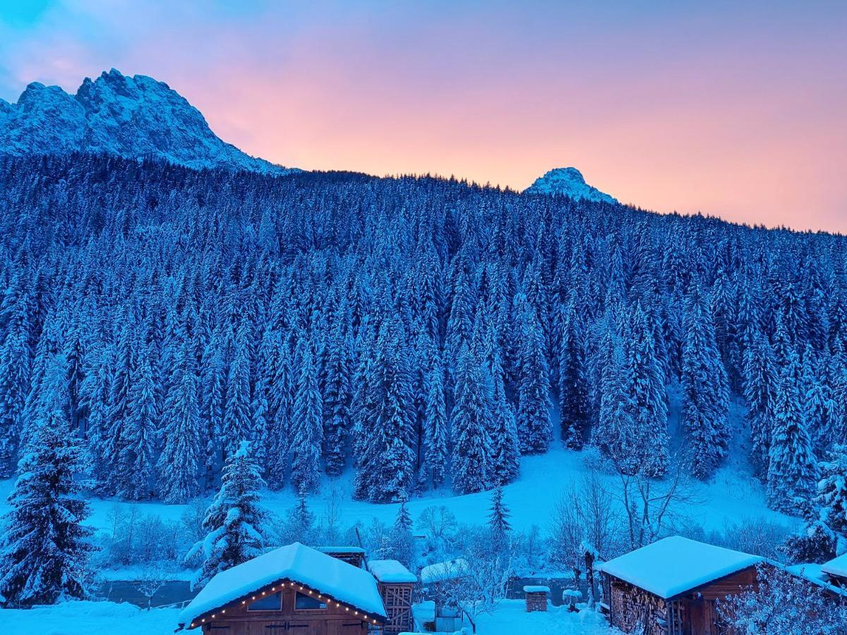 B&B A Ceda Toa San Pietro di Cadore Exterior photo